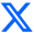 X icon